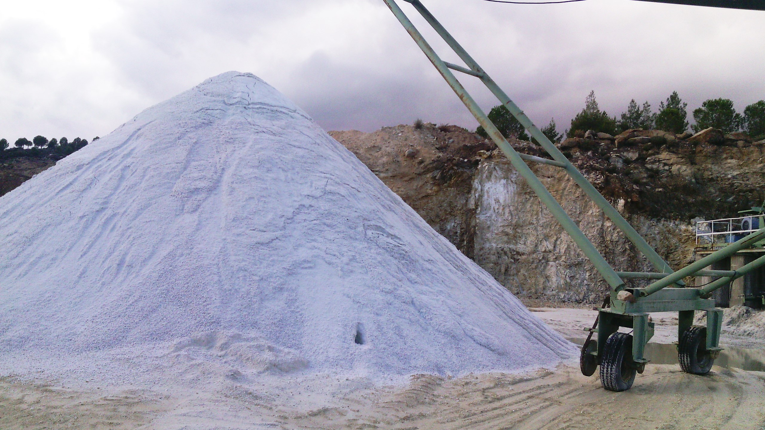 [���� ������]